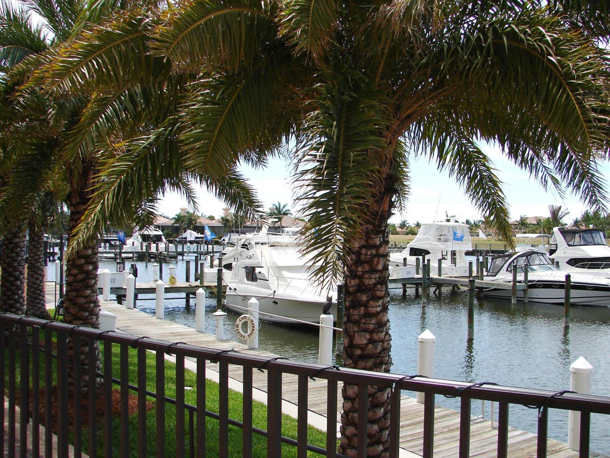 Tropical Palms Sw Cape - Waterfront Private Home, Locally Owned & Managed, Fair & Honest Pricing Cape Coral Exterior photo